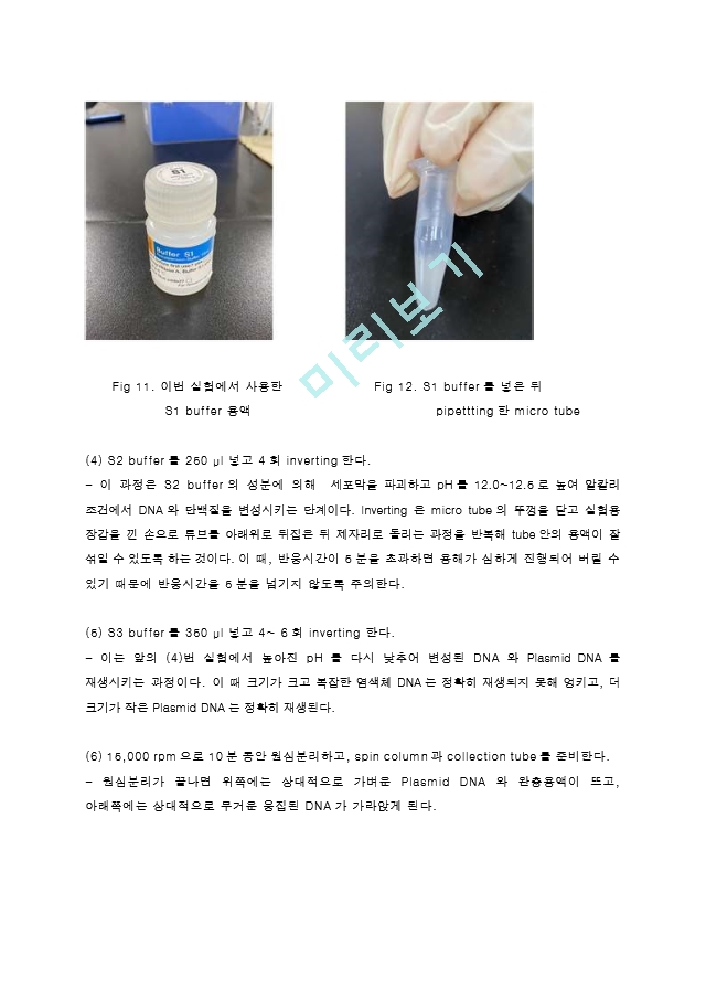 Plasmid DNA isolation from bacterial cell Miniprep 결과레포트 [A+]   (8 )